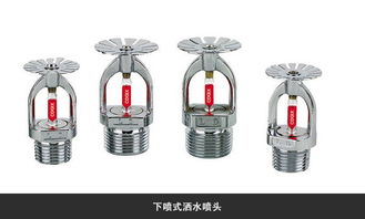 高效灭火卫士 ZST型玻璃球洒水喷头（下喷型）全面解析
